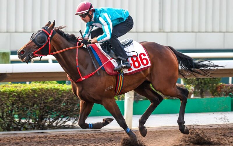 Romantic Warrior in action in Hong Kong weekend horse racing