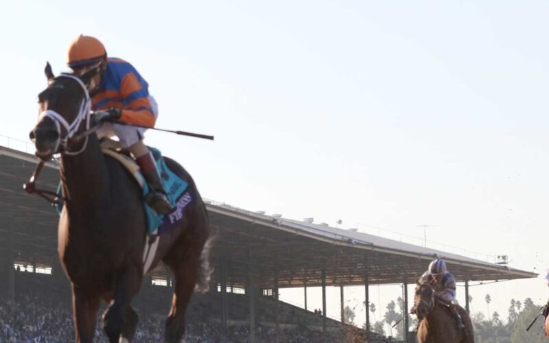 Breeders' Cup 2024: Odds and Predictions for All Races